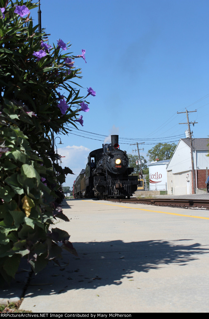 Monticello Railway Musum